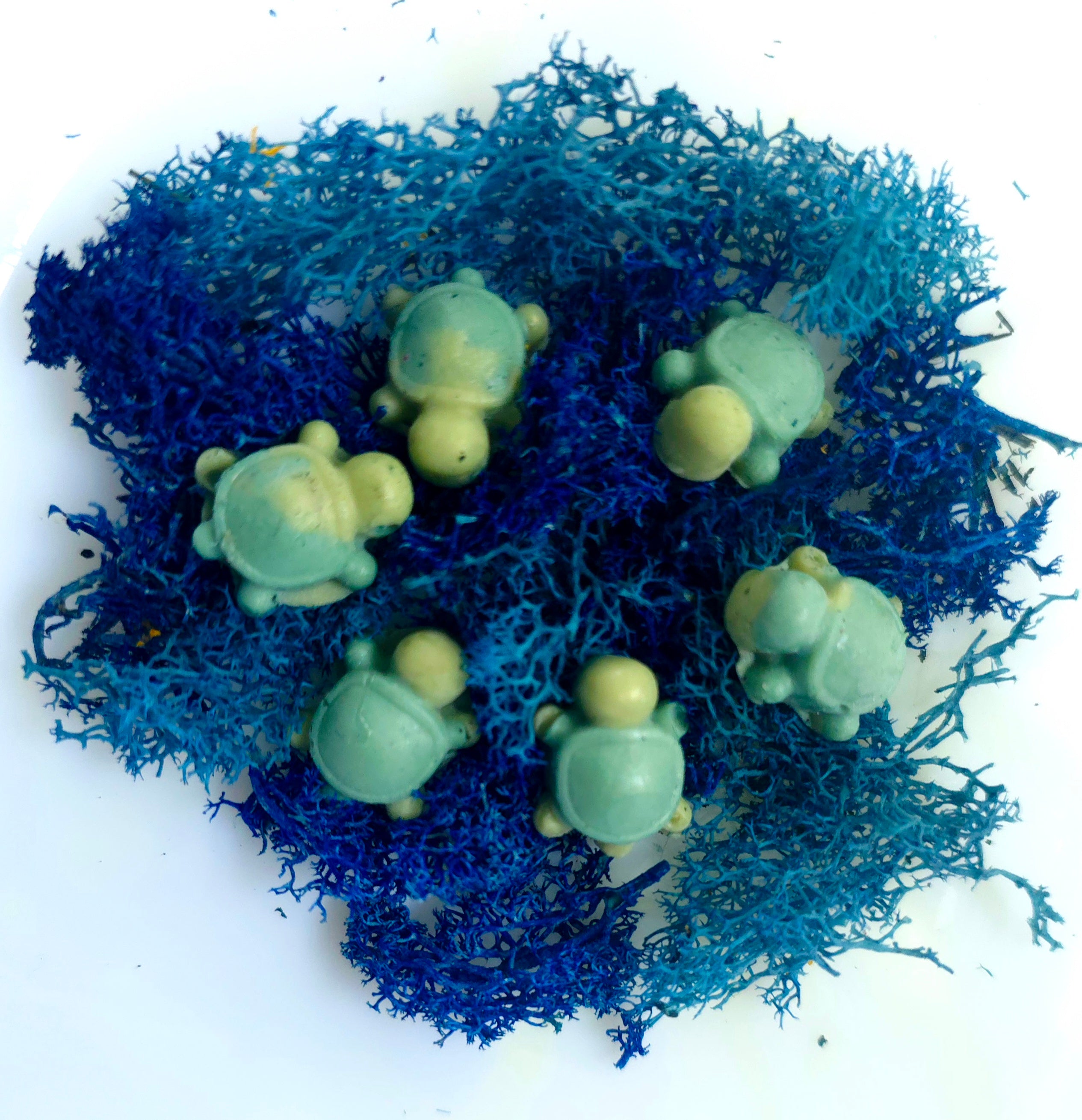 Teenie Turtles — Mini Cucumber Melon Soap Bars | Shea Butter, Vitamin E & Jojoba Oil | Box of 12