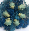 Teenie Turtles — Mini Cucumber Melon Soap Bars | Shea Butter, Vitamin E & Jojoba Oil | Box of 12